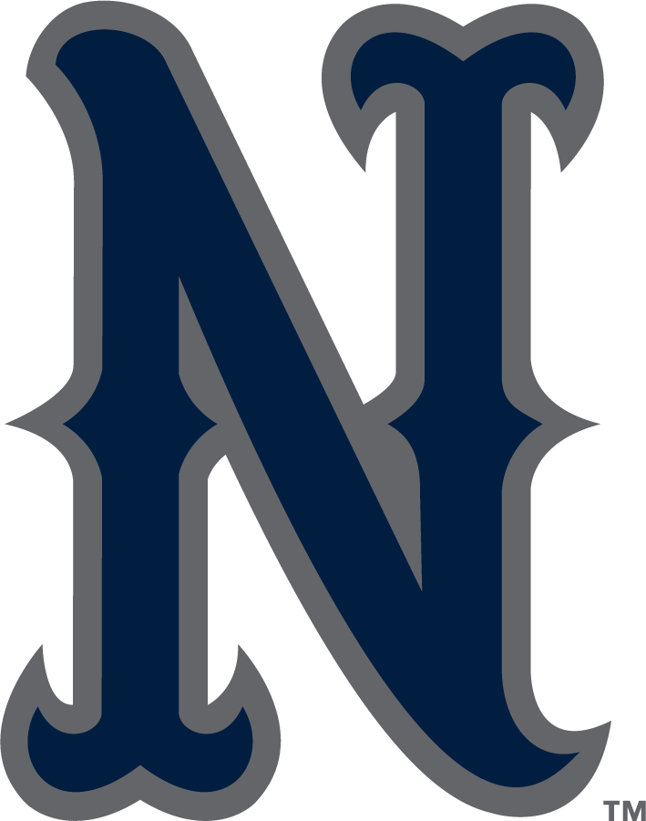 Nevada Wolf Pack 2006-2023 Secondary Logo v3 diy iron on heat transfer